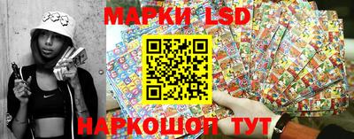 Альфа ПВП Малгобек
