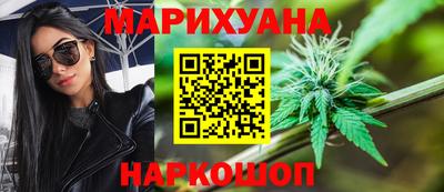 сатива Малоярославец