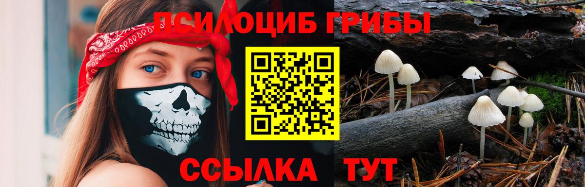 Похвистнево  Галлюциногенные грибы прущие грибы  Вход с VPN 